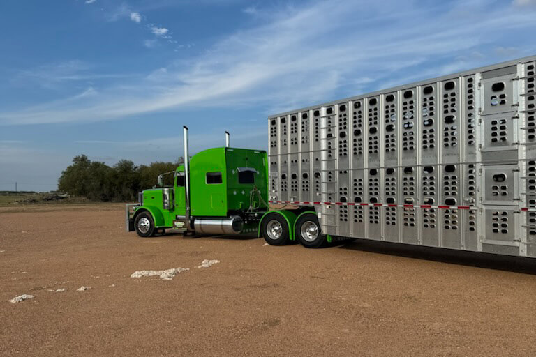 Back View of Green Semi Pulling a Trailer